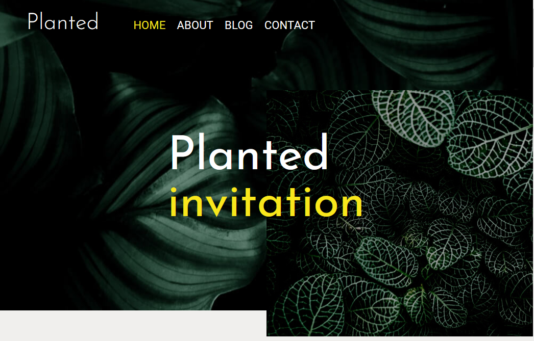 a screenshot of a website for plant services
